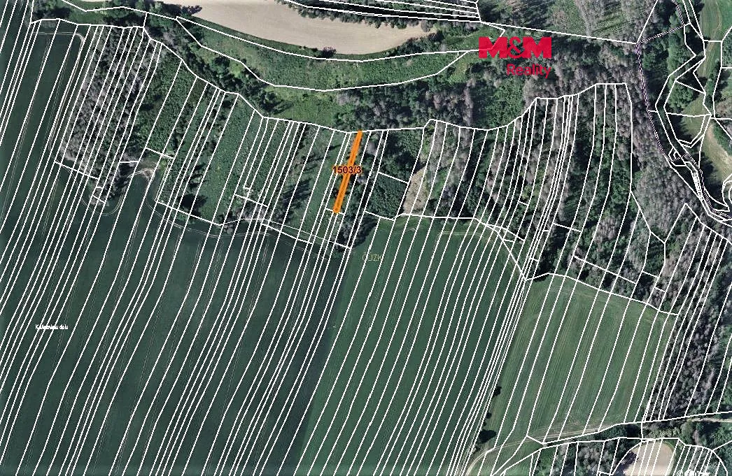 Prodej lesa 372 m²